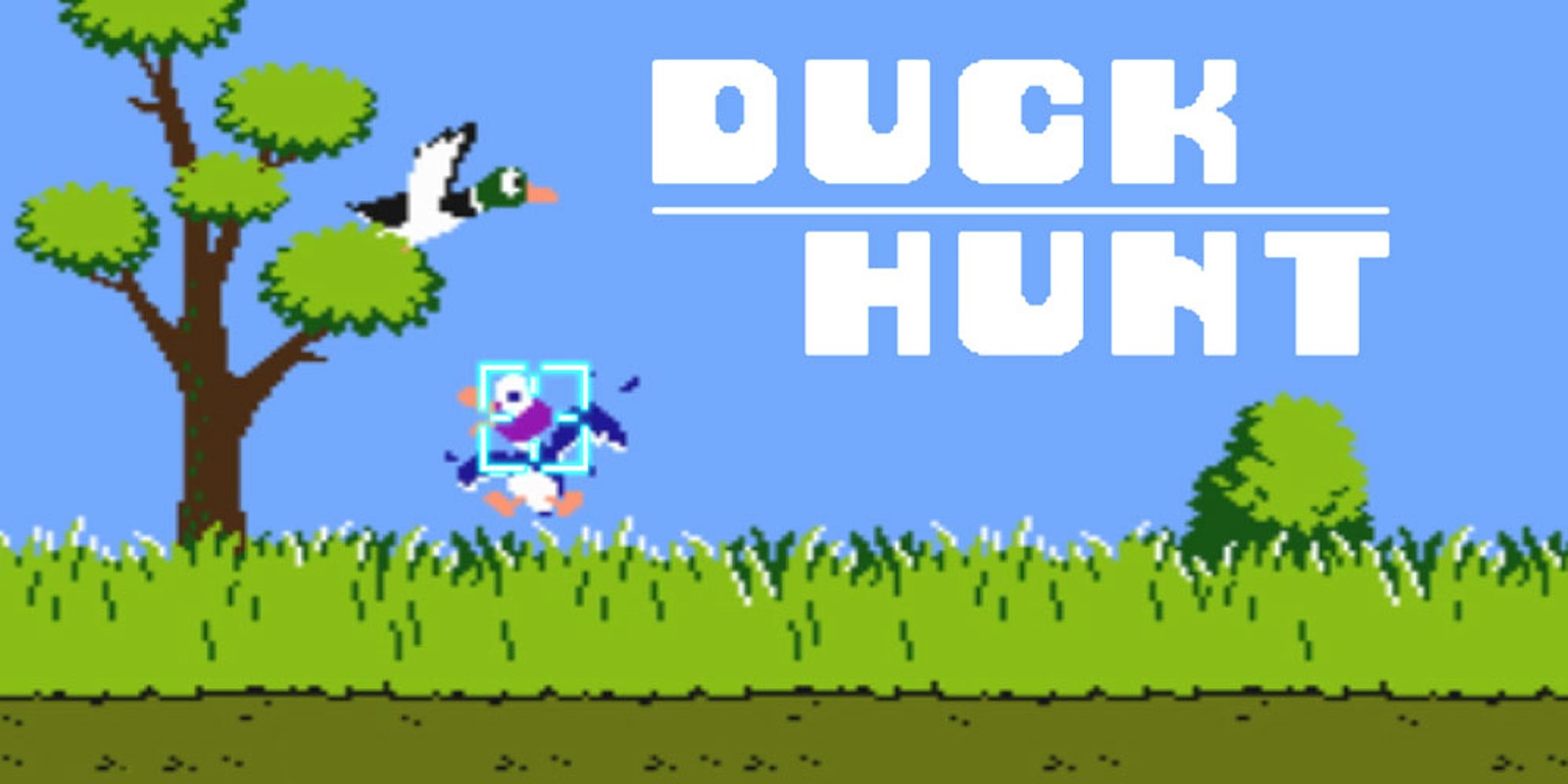 Duck Hunt NES